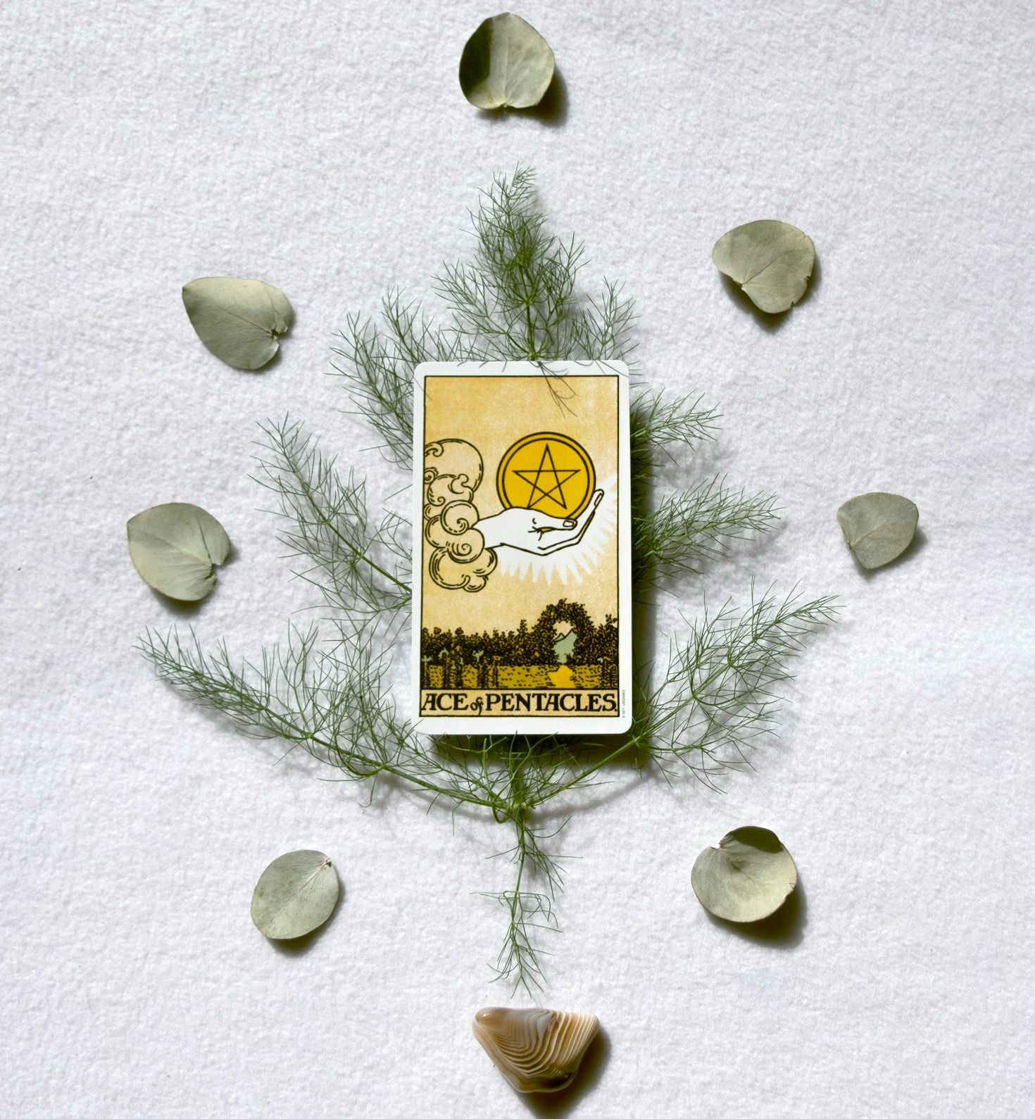 Comment choisir la forme de guidance qui vous convient